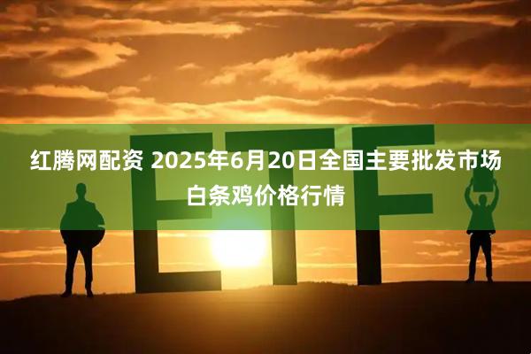 红腾网配资 2025年6月20日全国主要批发市场白条鸡价格行情