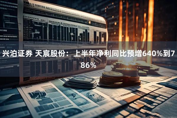 兴泊证券 天宸股份：上半年净利同比预增640%到786%
