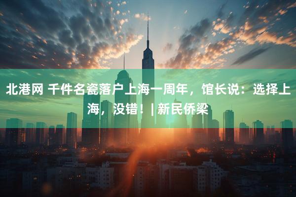 北港网 千件名瓷落户上海一周年，馆长说：选择上海，没错！| 新民侨梁